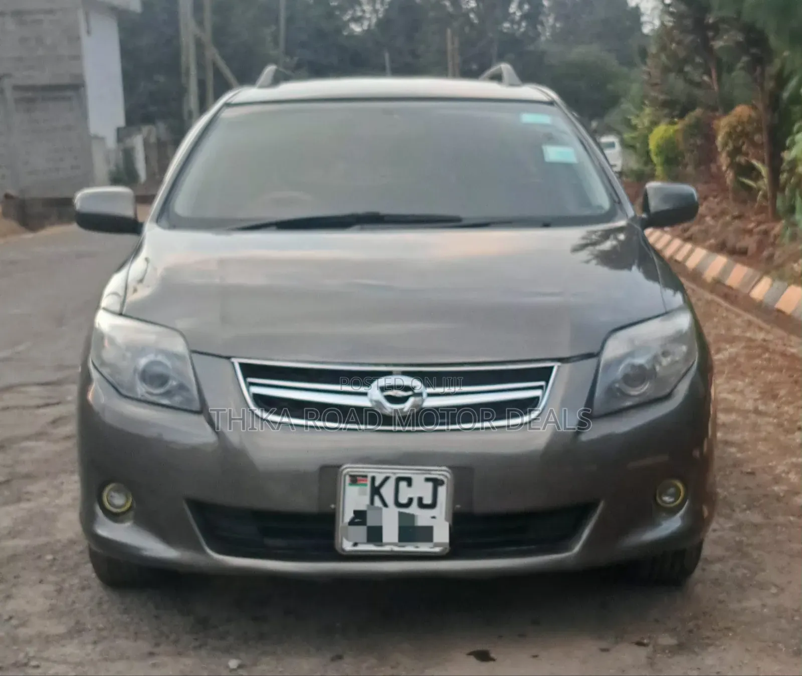 Toyota Corolla Fielder 2010 Gray