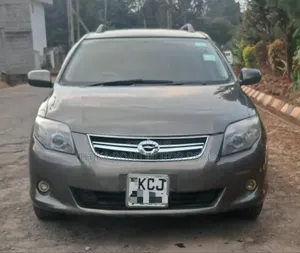 Toyota Corolla Fielder 2010 Gray