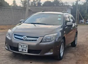 Toyota Corolla Fielder 2010 Gray