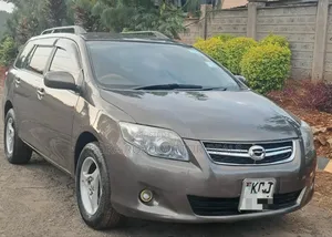 Toyota Corolla Fielder 2010 Gray