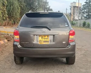 Toyota Corolla Fielder 2010 Gray