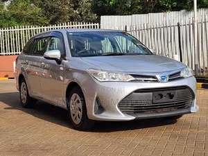 Toyota Corolla Fielder 2019 Silver