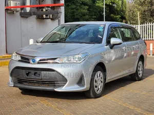 Toyota Corolla Fielder 2019 Silver