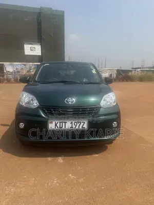 Toyota Passo 2017 Green