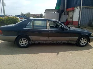 Mercedes-Benz S-Class 1996 Gray
