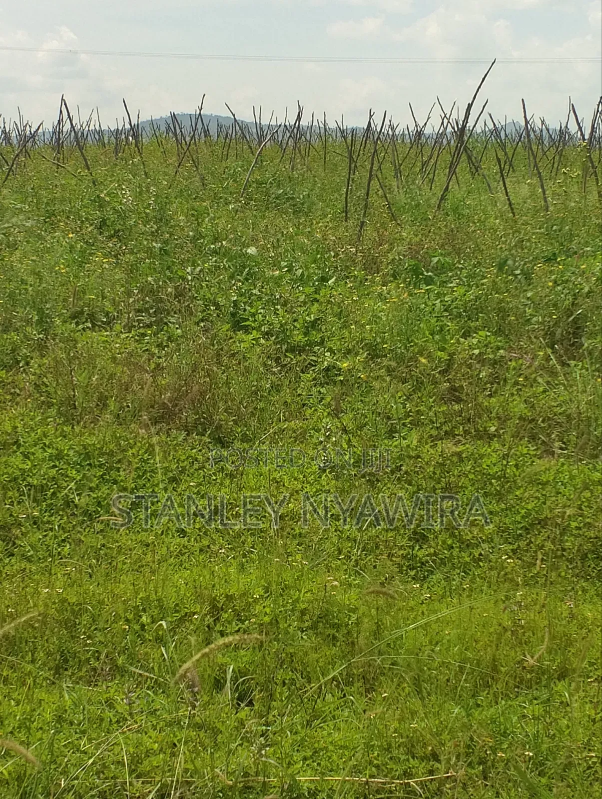 47 Acreas Farmland Nanyuki Mukima
