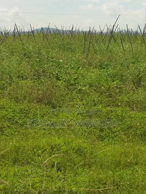 47 Acreas Farmland Nanyuki Mukima
