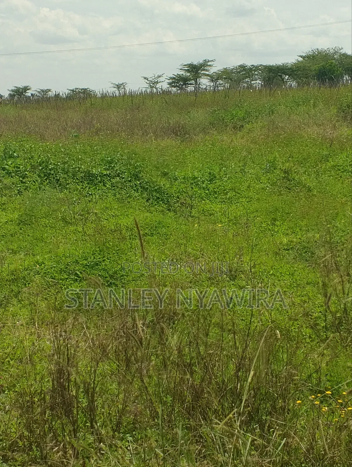 47 Acreas Farmland Nanyuki Mukima