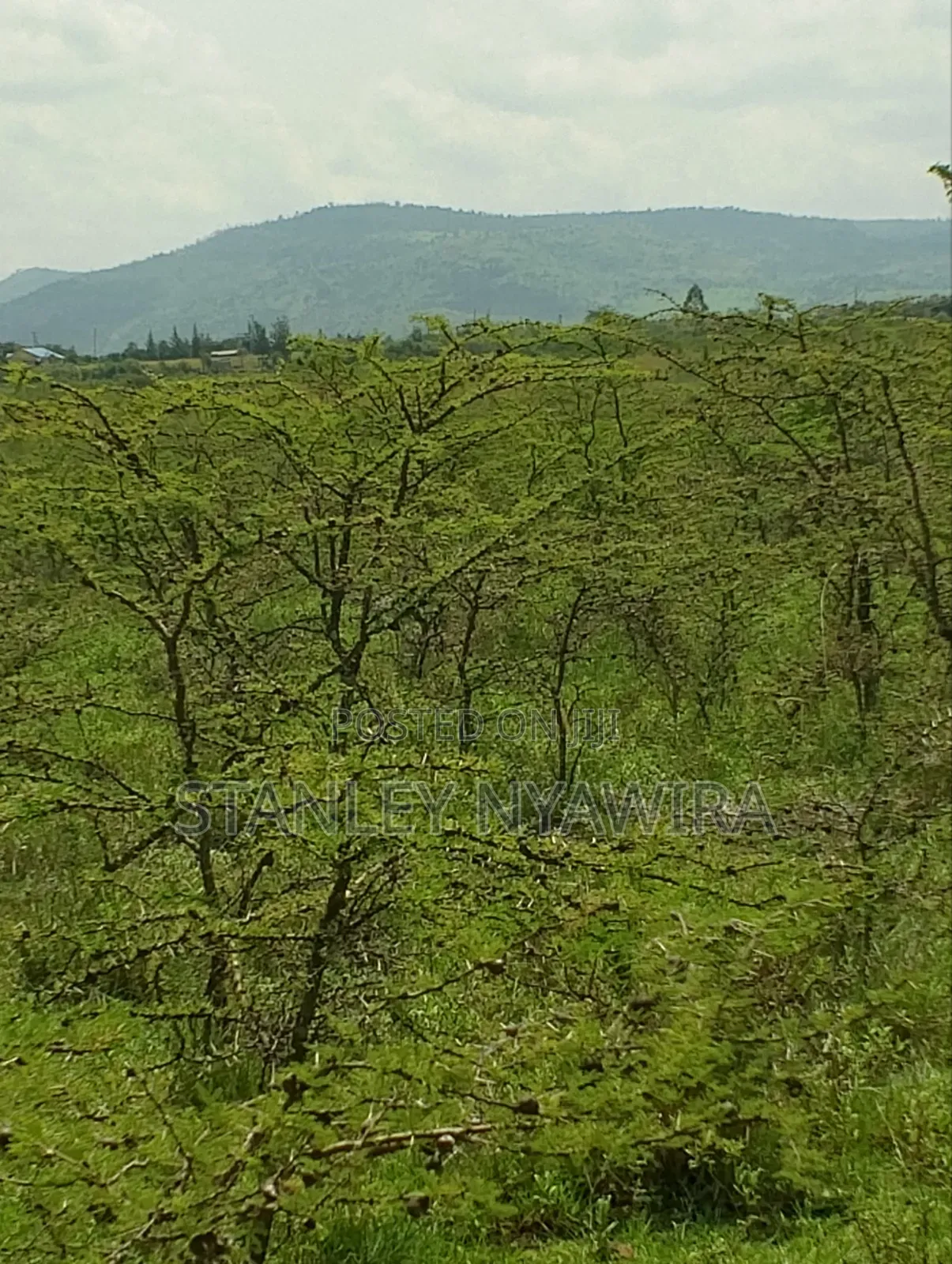 47 Acreas Farmland Nanyuki Mukima