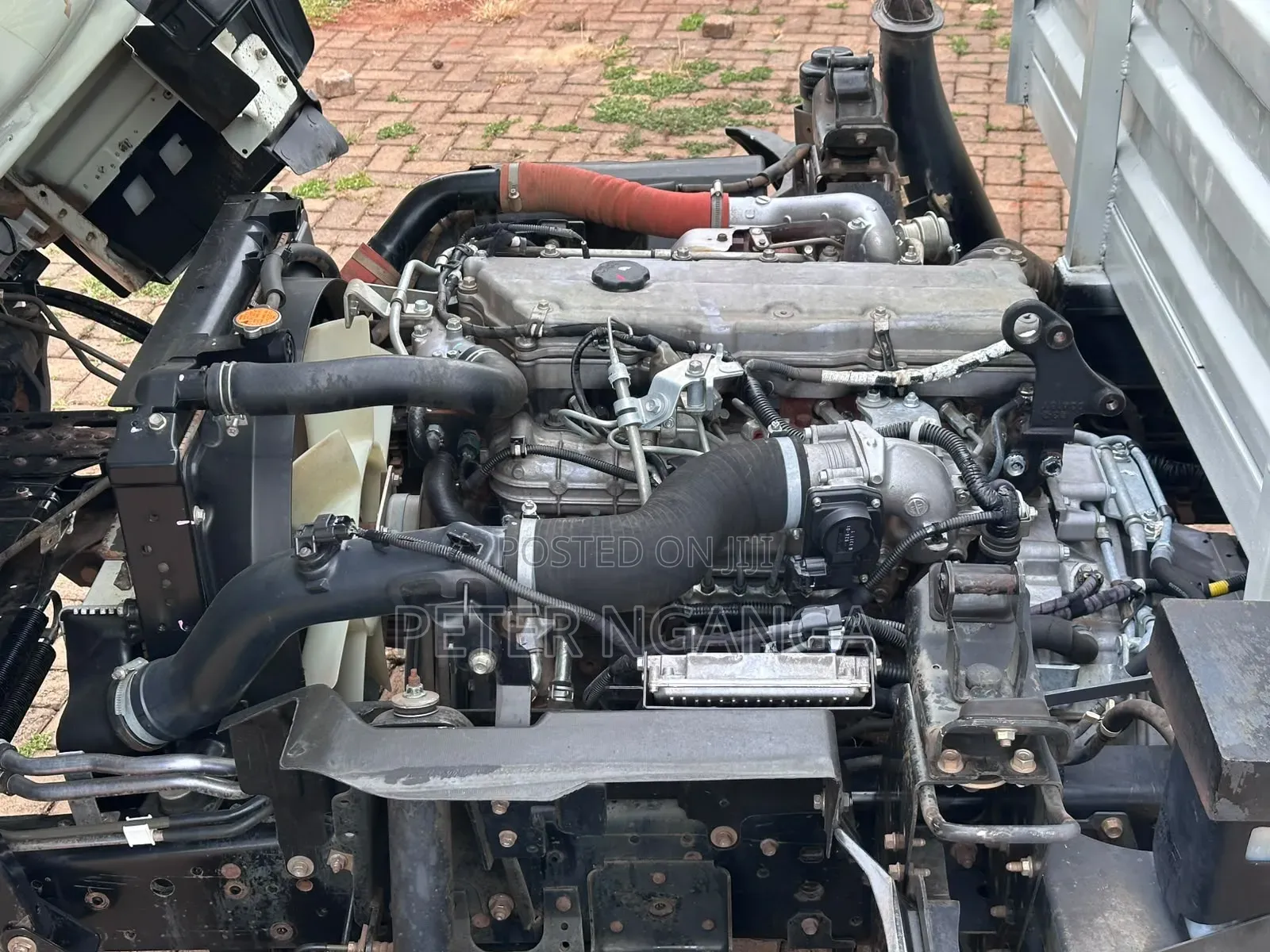 Isuzu NQR 2022 Model
