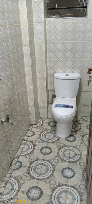 Professional Water Piping and Drainage Expert