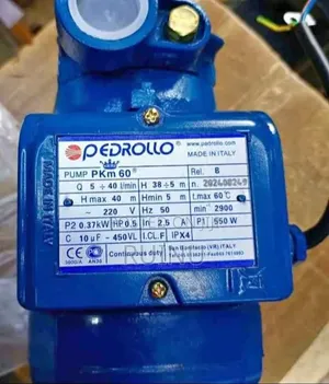 Pedrollo PKm60/Pedrollo PKm60