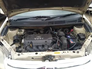 Toyota Raum 2004 Pearl