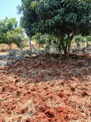 One Acre on Sale KIMANGARU Embu County
