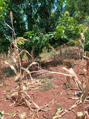 One Acre on Sale KIMANGARU Embu County