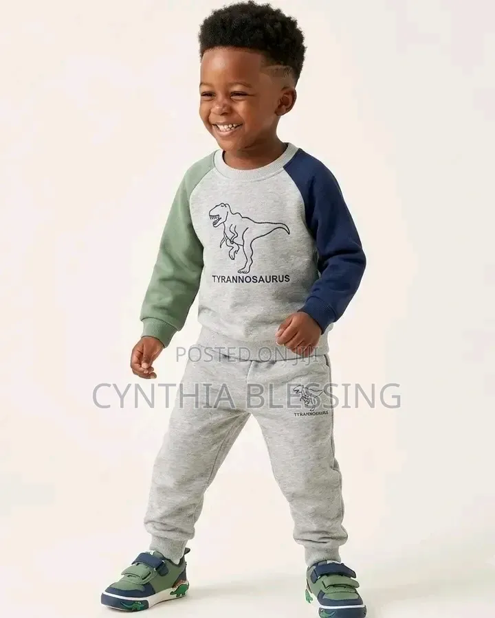 2 Piece Kids Tracksuits Grey