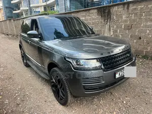 Rover Land 2014 Gray