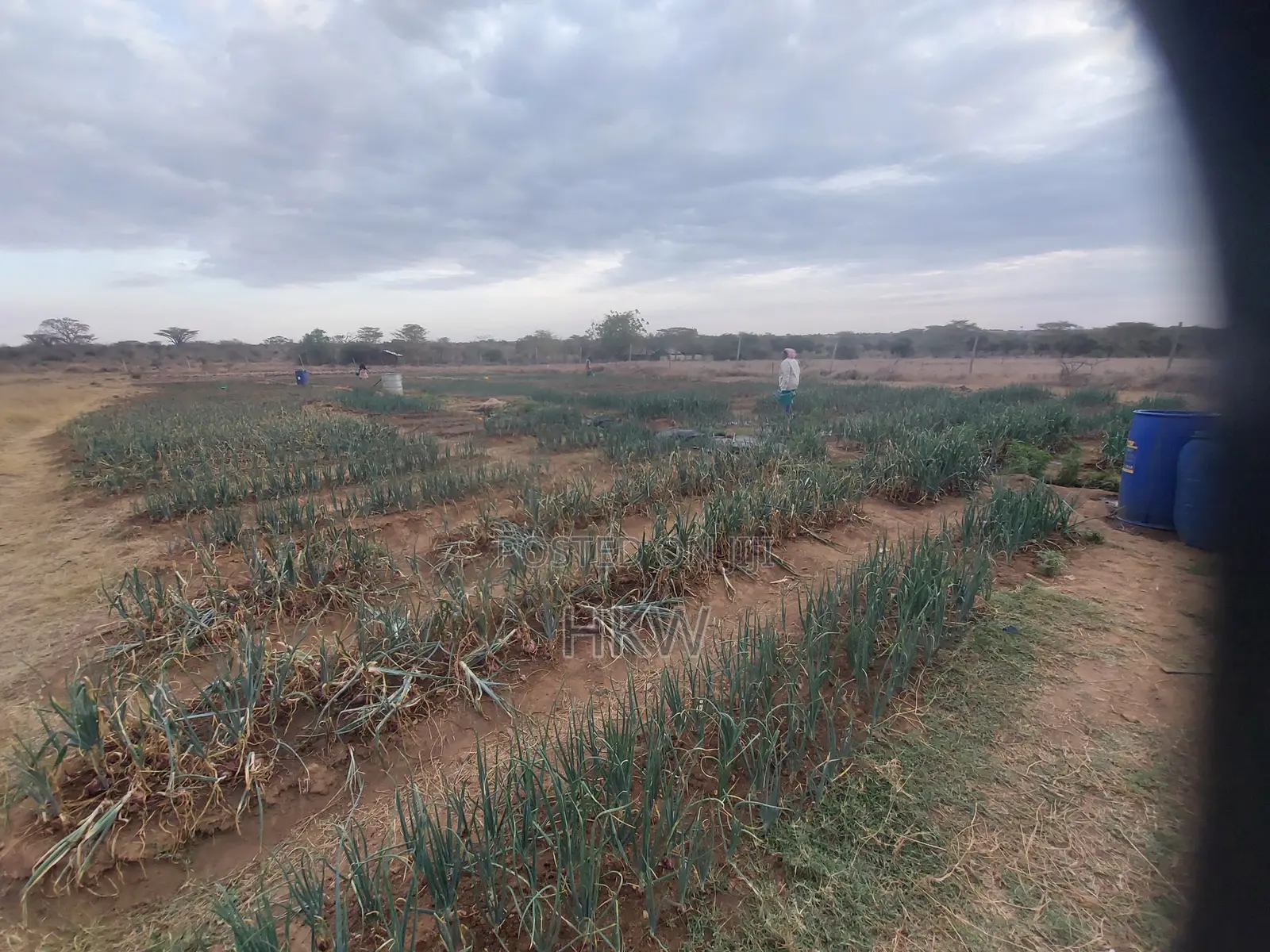 1bdrm House in Namanga for rent