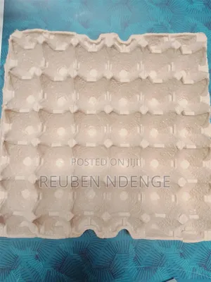 Carton Egg Trays.