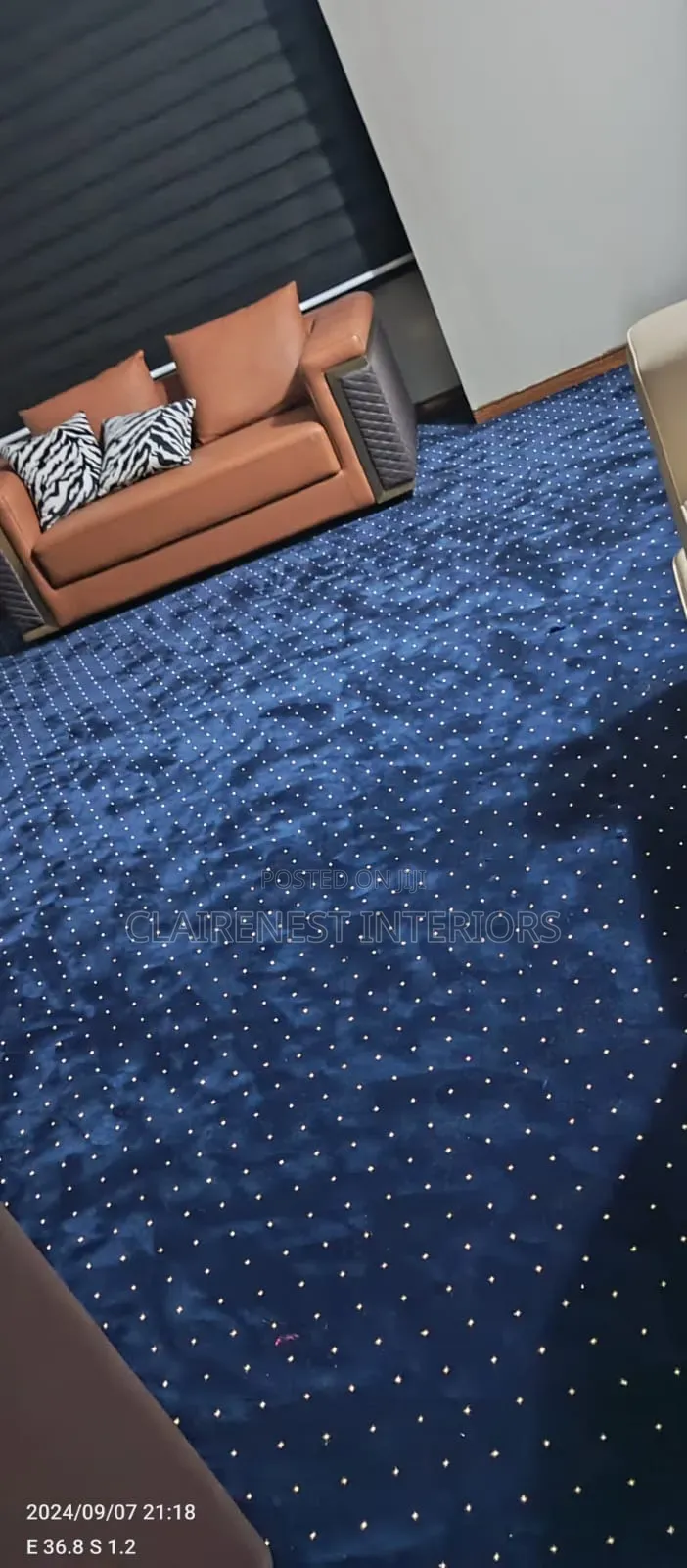 A Carpet for Every Lifestyle, Executive 12mm Wall to Wall Cary