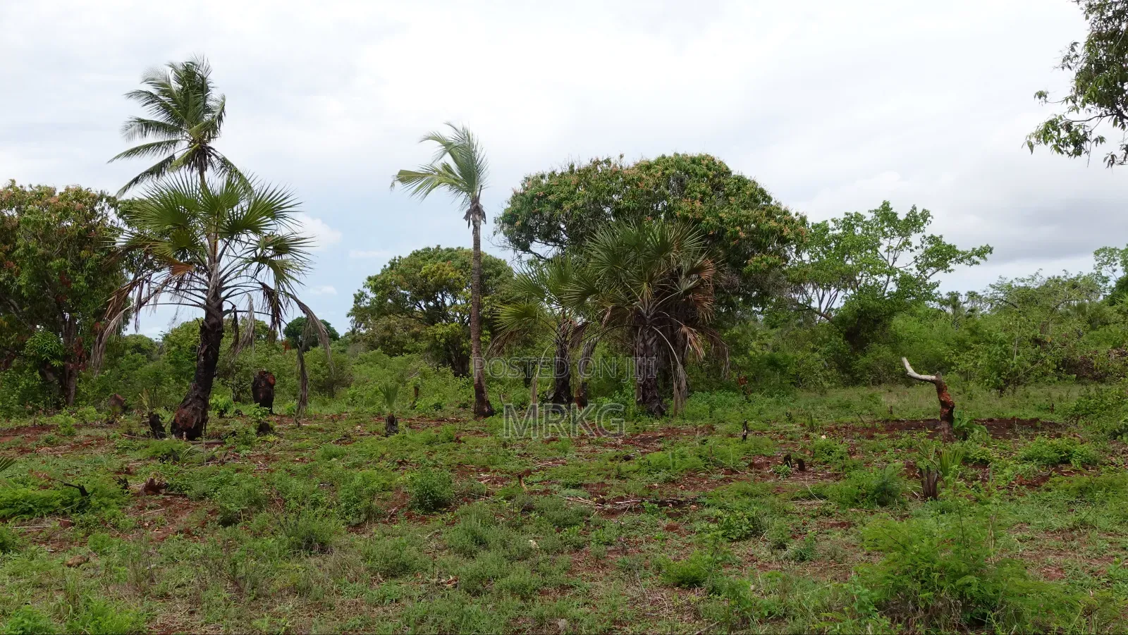 Land for Sale – Diani/Msambweni, 500m to Beach. 28 Mins to Diani Town
