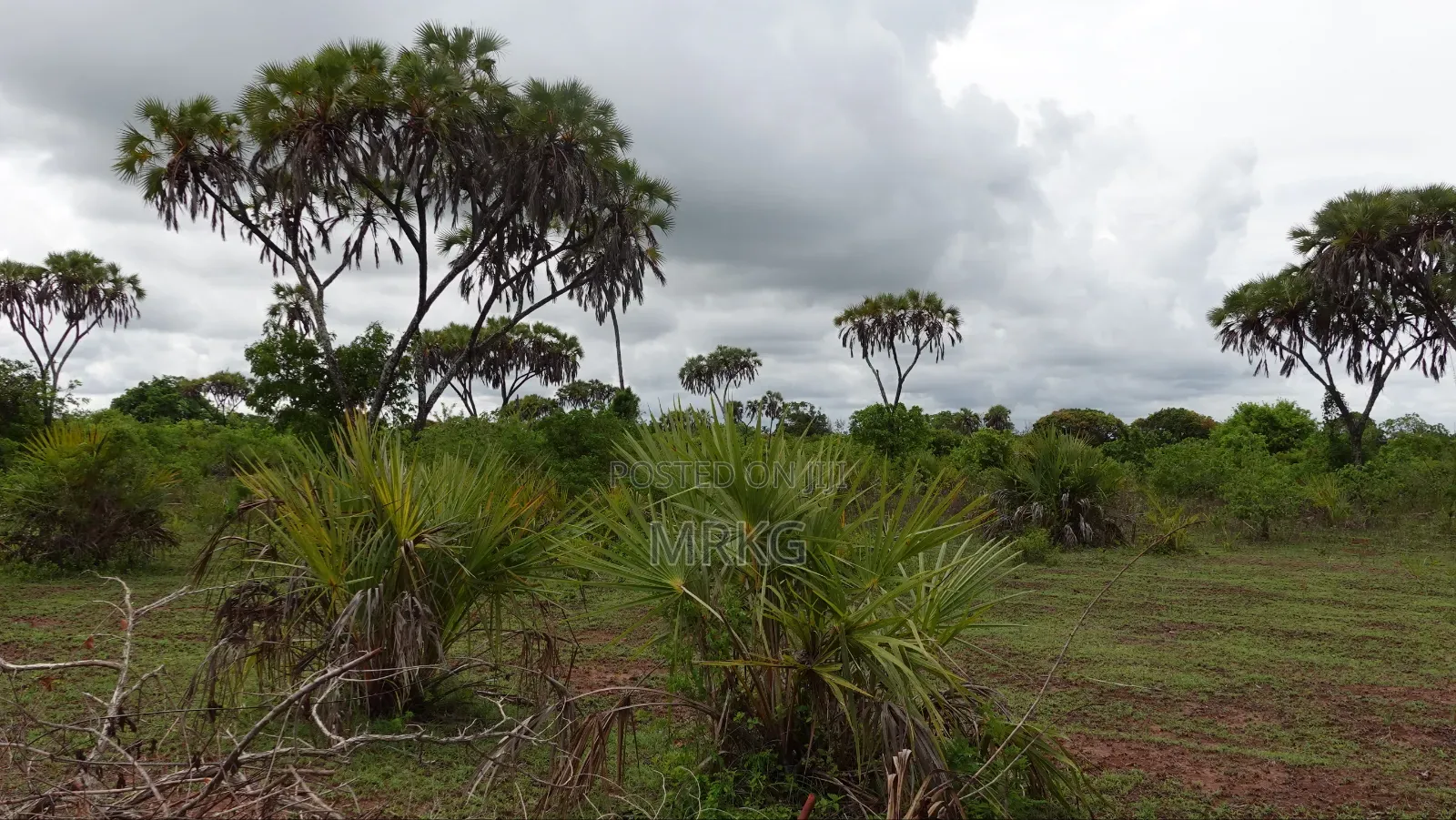 Land for Sale – Diani/Msambweni, 500m to Beach. 28 Mins to Diani Town