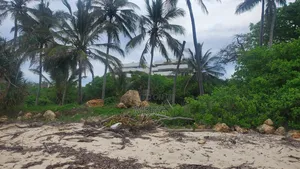 Land for Sale – Diani/Msambweni, 500m to Beach. 28 Mins to Diani Town