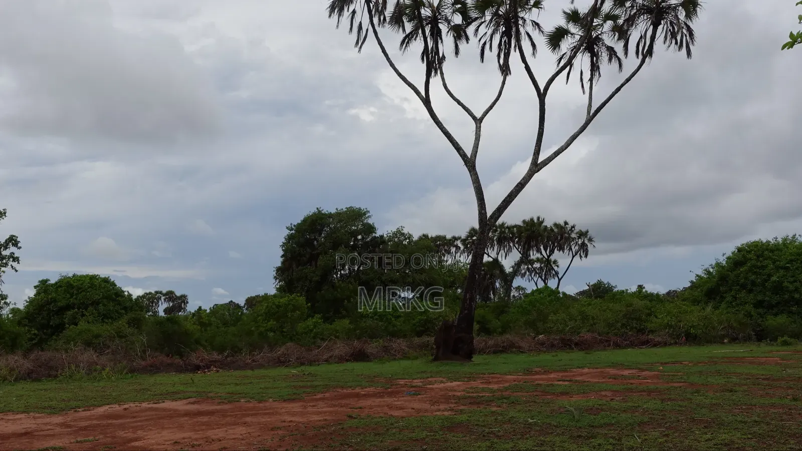 Land for Sale – Diani/Msambweni, 500m to Beach. 28 Mins to Diani Town