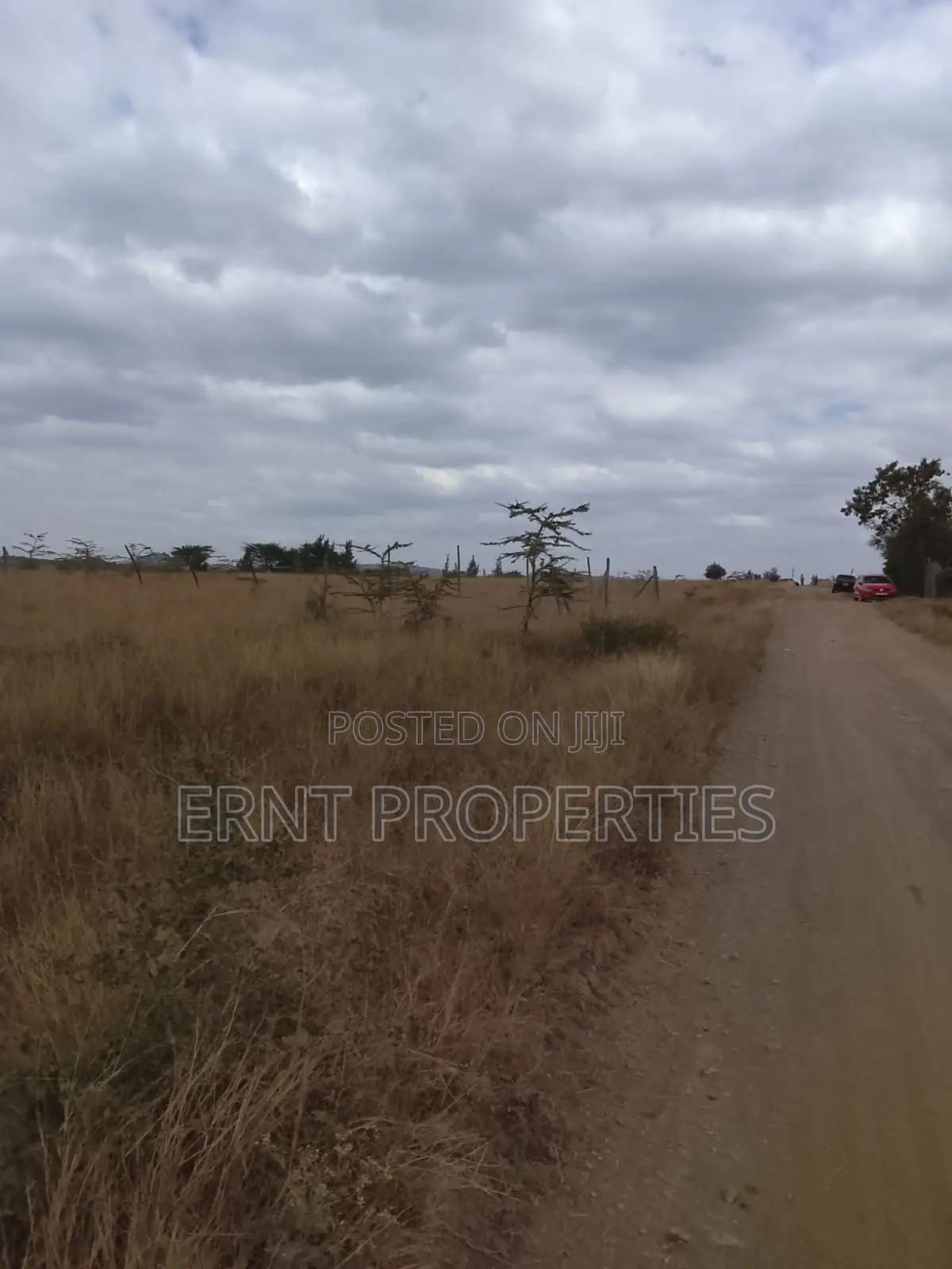 Quick Sale – 1⁄4 Acre Land for Sale | Kinaine, Athi River