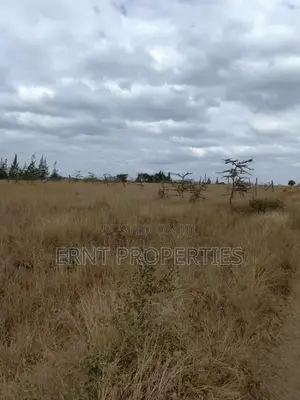 Quick Sale – 1⁄4 Acre Land for Sale | Kinaine, Athi River