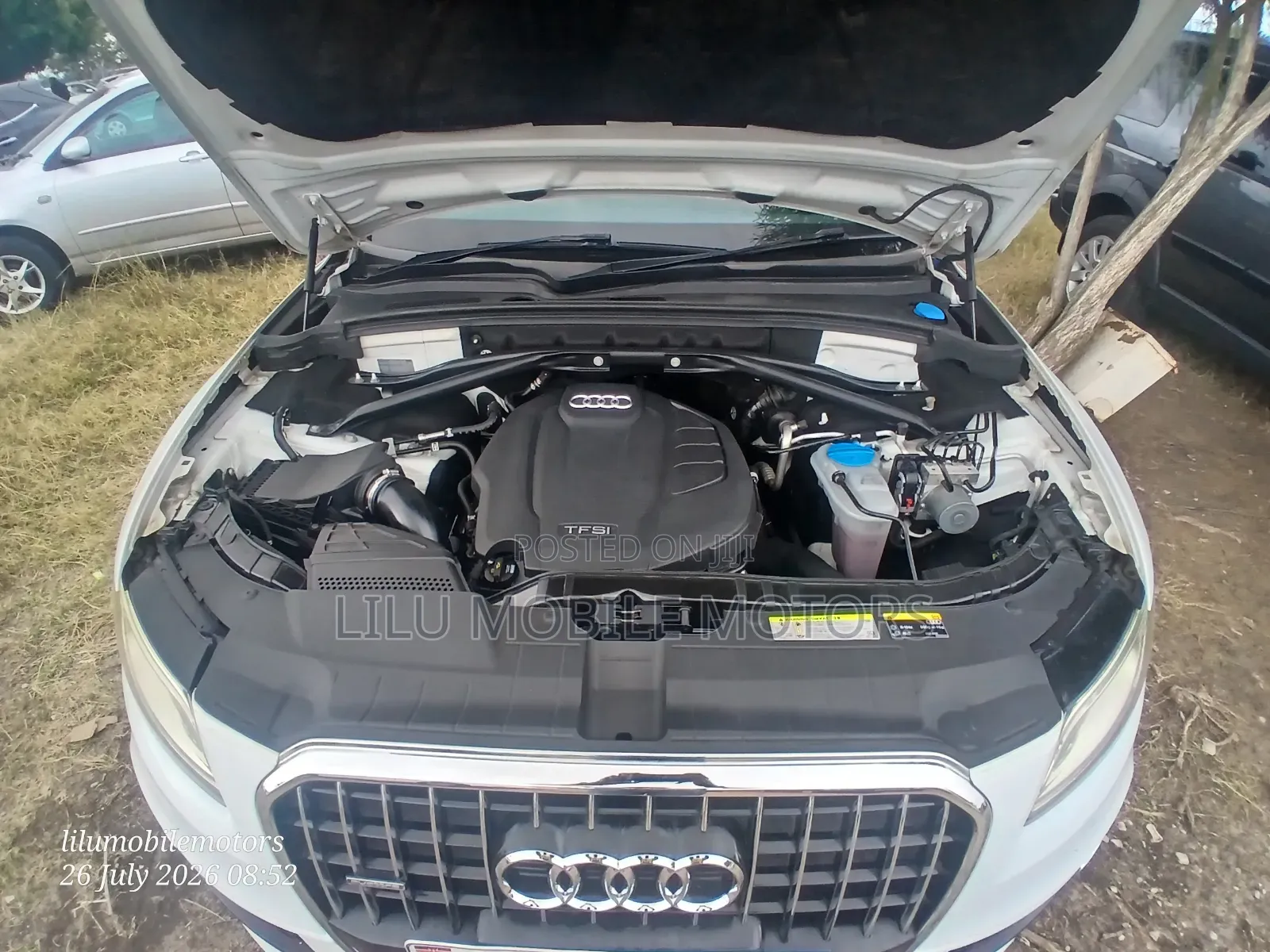 Audi Q5 2016 Pearl