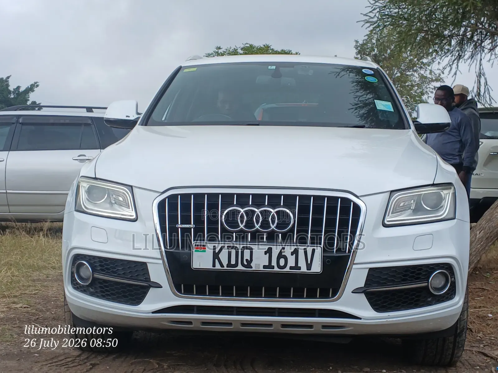 Audi Q5 2016 Pearl