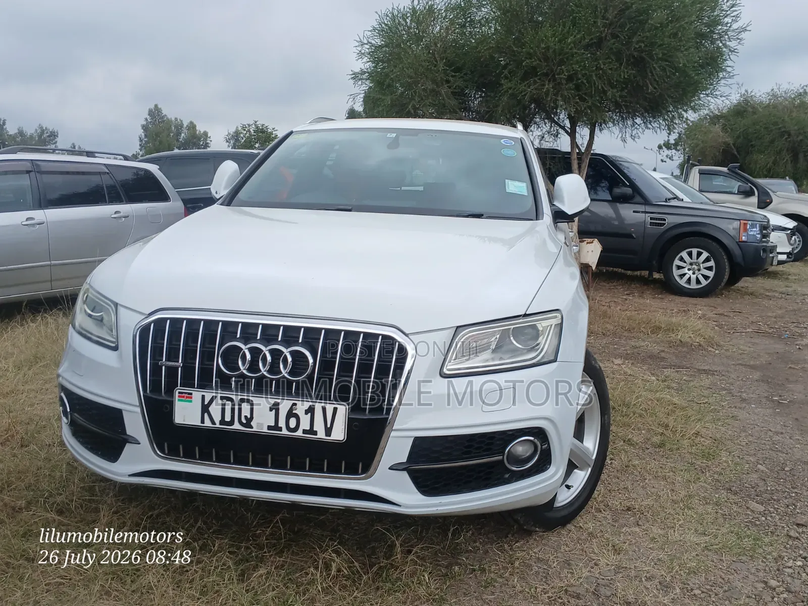 Audi Q5 2016 Pearl