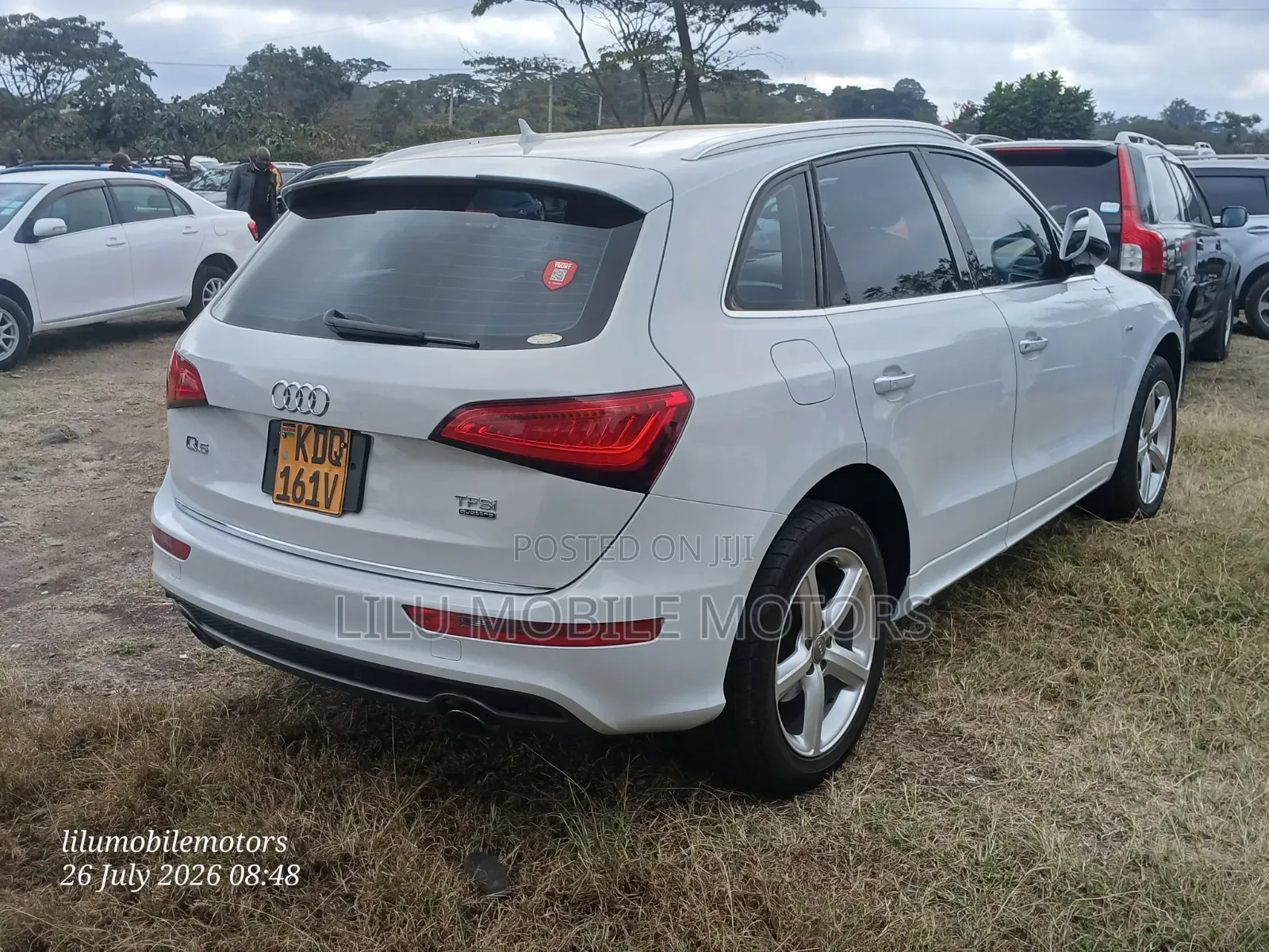 Audi Q5 2016 Pearl