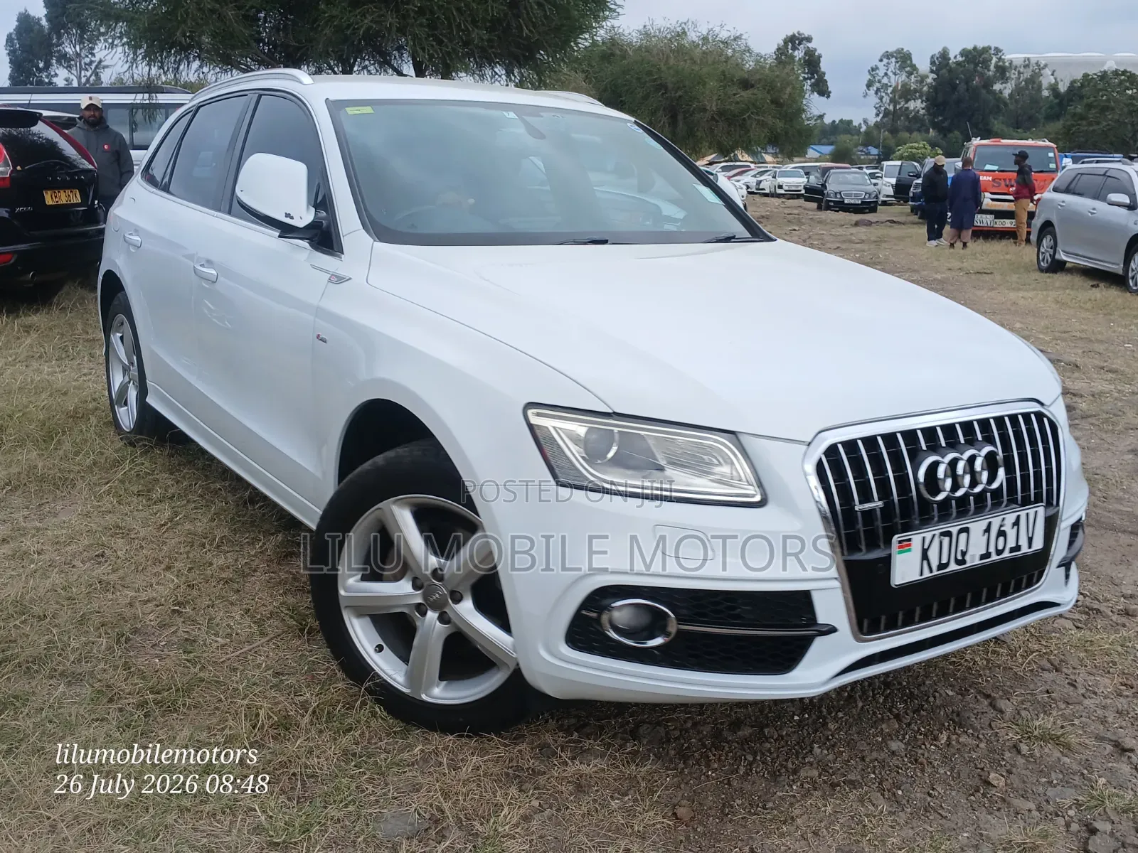 Audi Q5 2016 Pearl