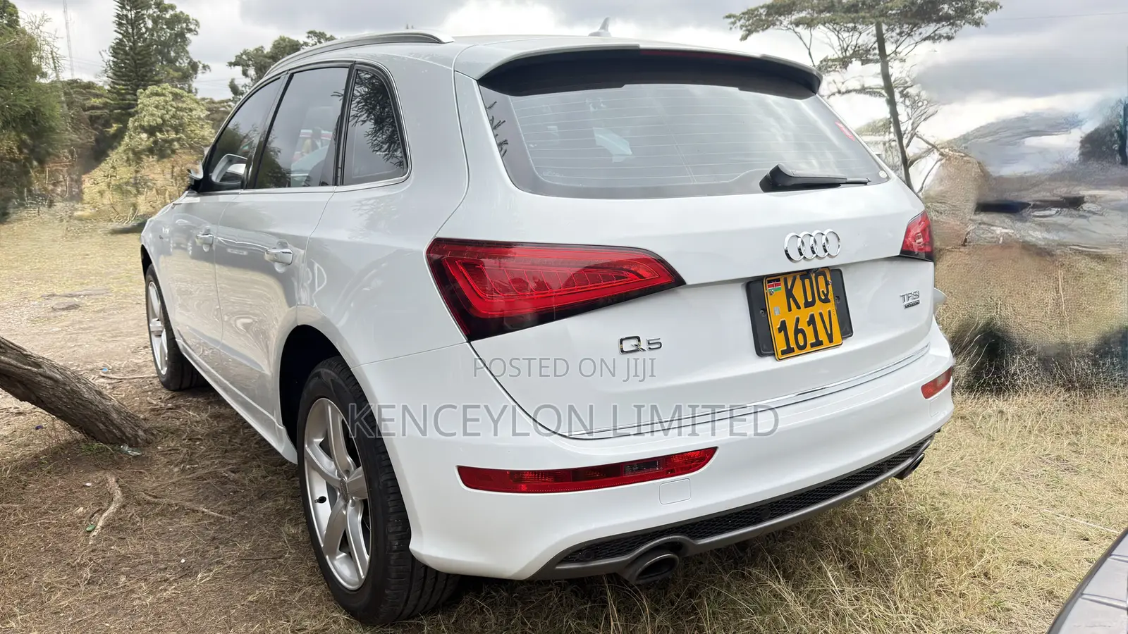 Audi Q5 2.0T Premium AWD quattro 2016 White