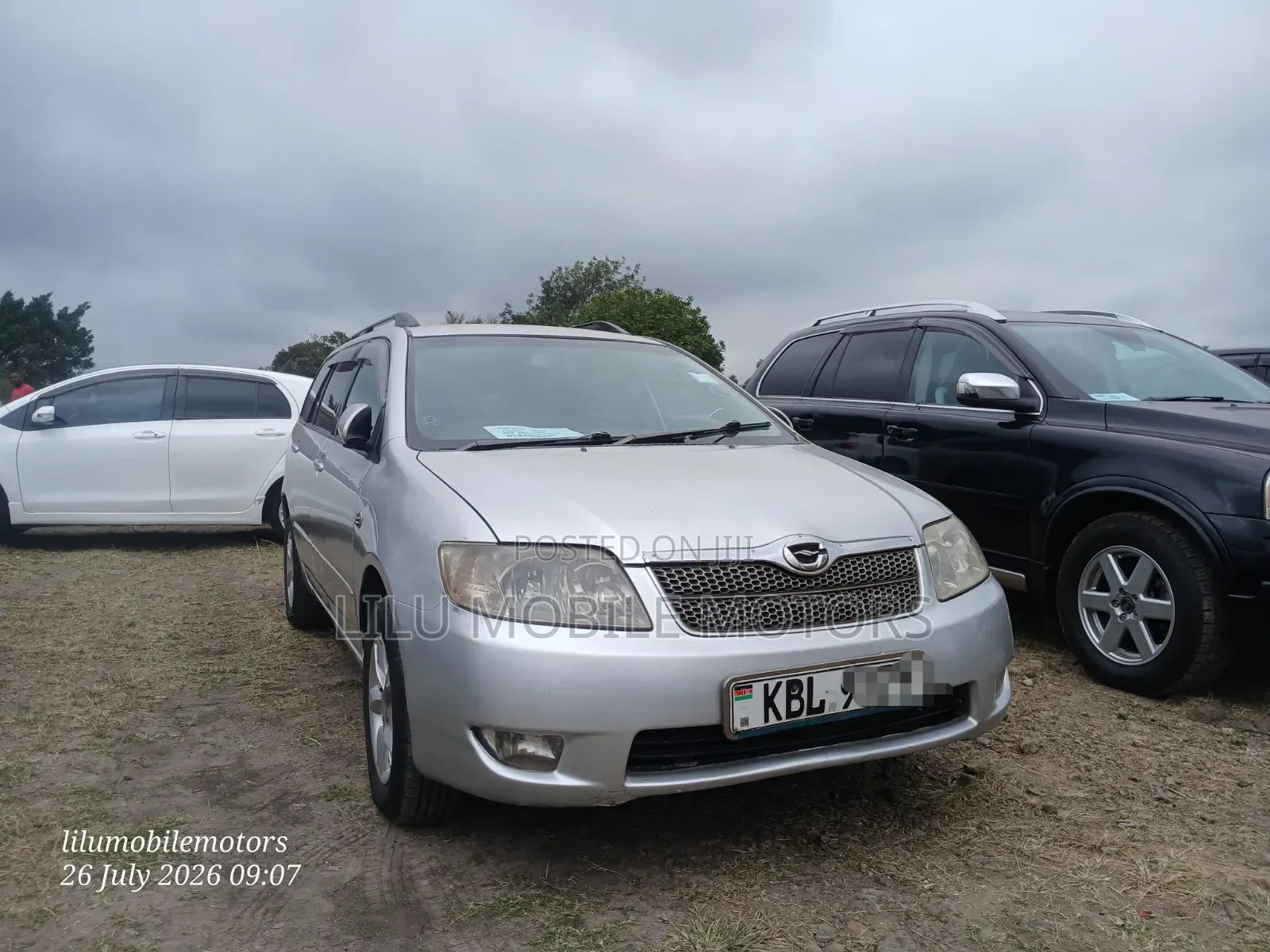Toyota Corolla Fielder 2003 Silver