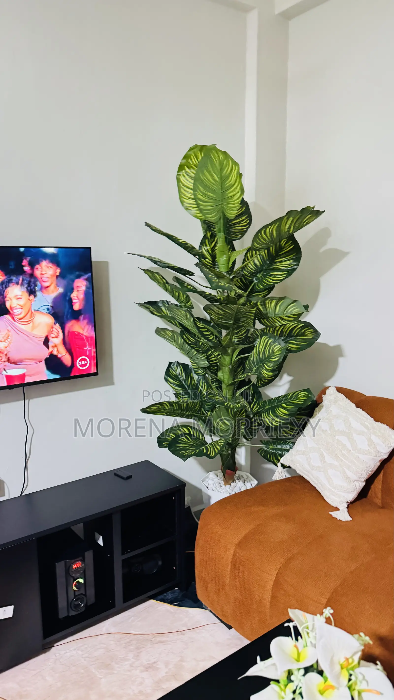 One Bedroom Maku