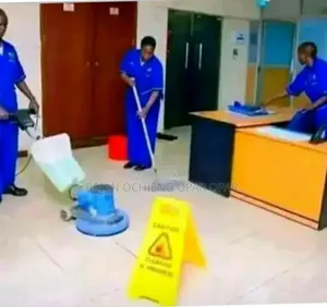 Professional Cleaning and Fumigation Services