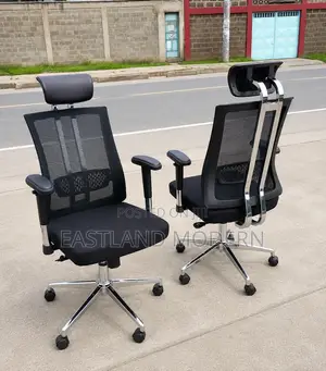 Adjustable Executive Office Chair With Lumbar Support