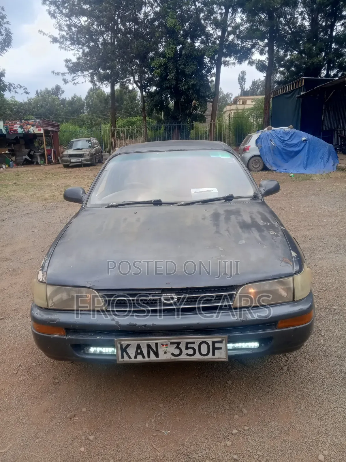 Toyota Corolla 2003 Gray
