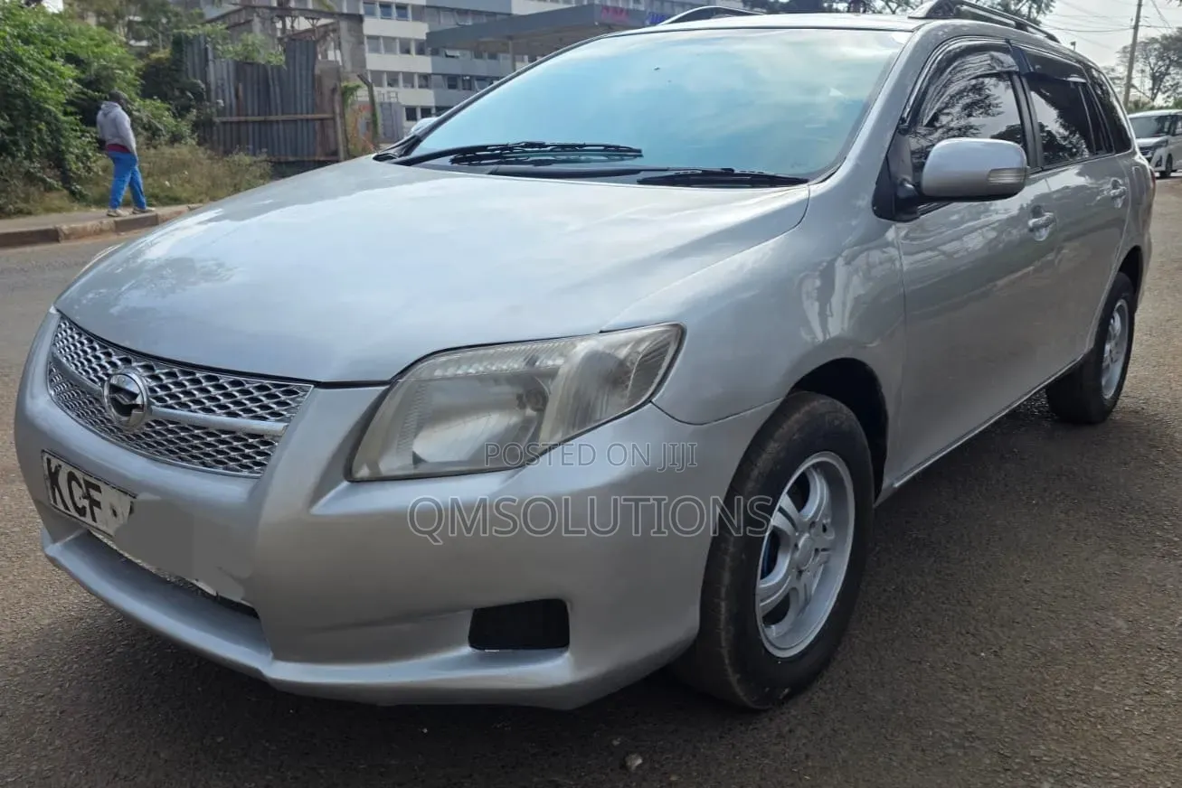 Toyota Corolla Fielder 2009 Silver
