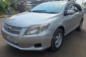 Toyota Corolla Fielder 2009 Silver