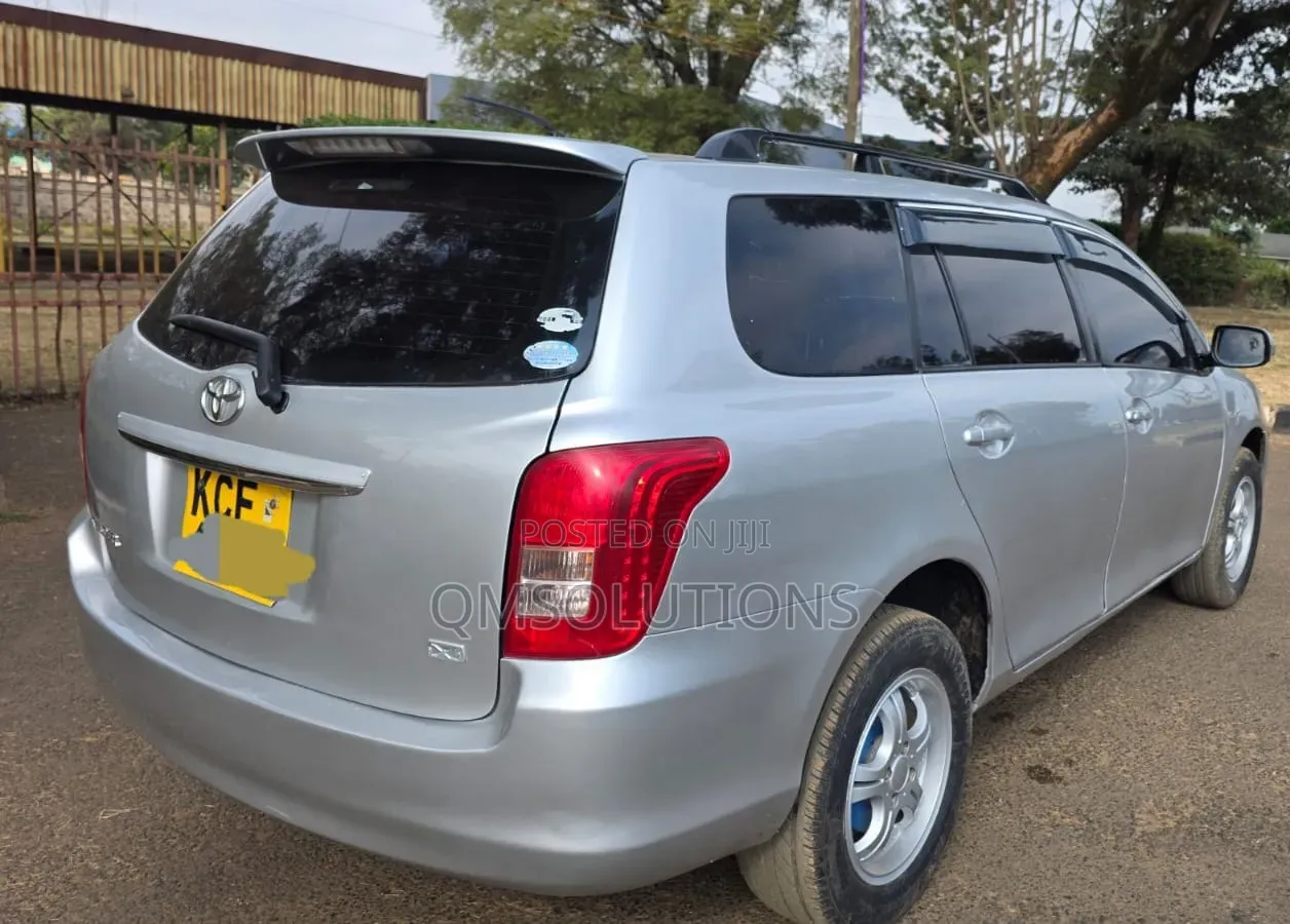 Toyota Corolla Fielder 2009 Silver