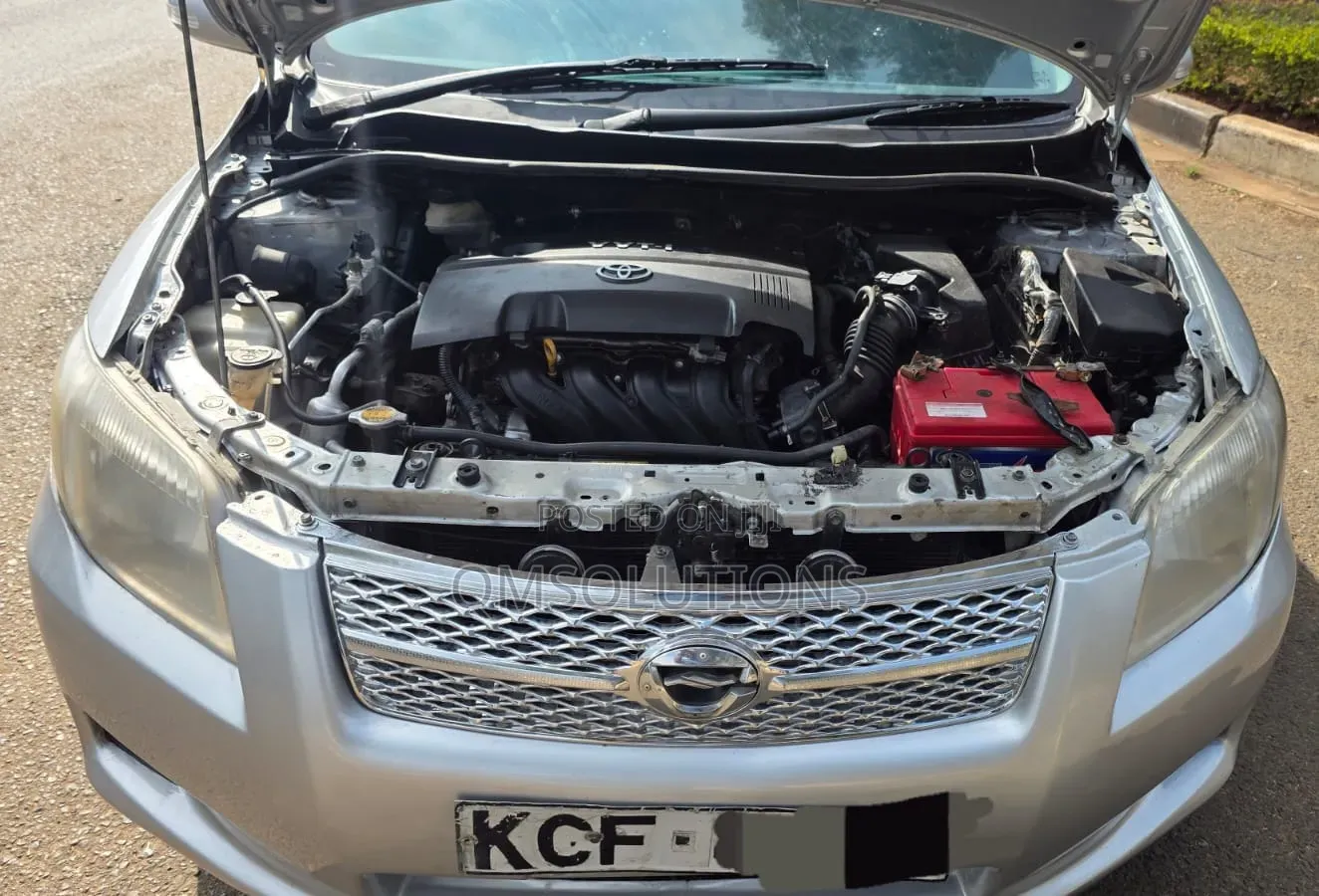 Toyota Corolla Fielder 2009 Silver