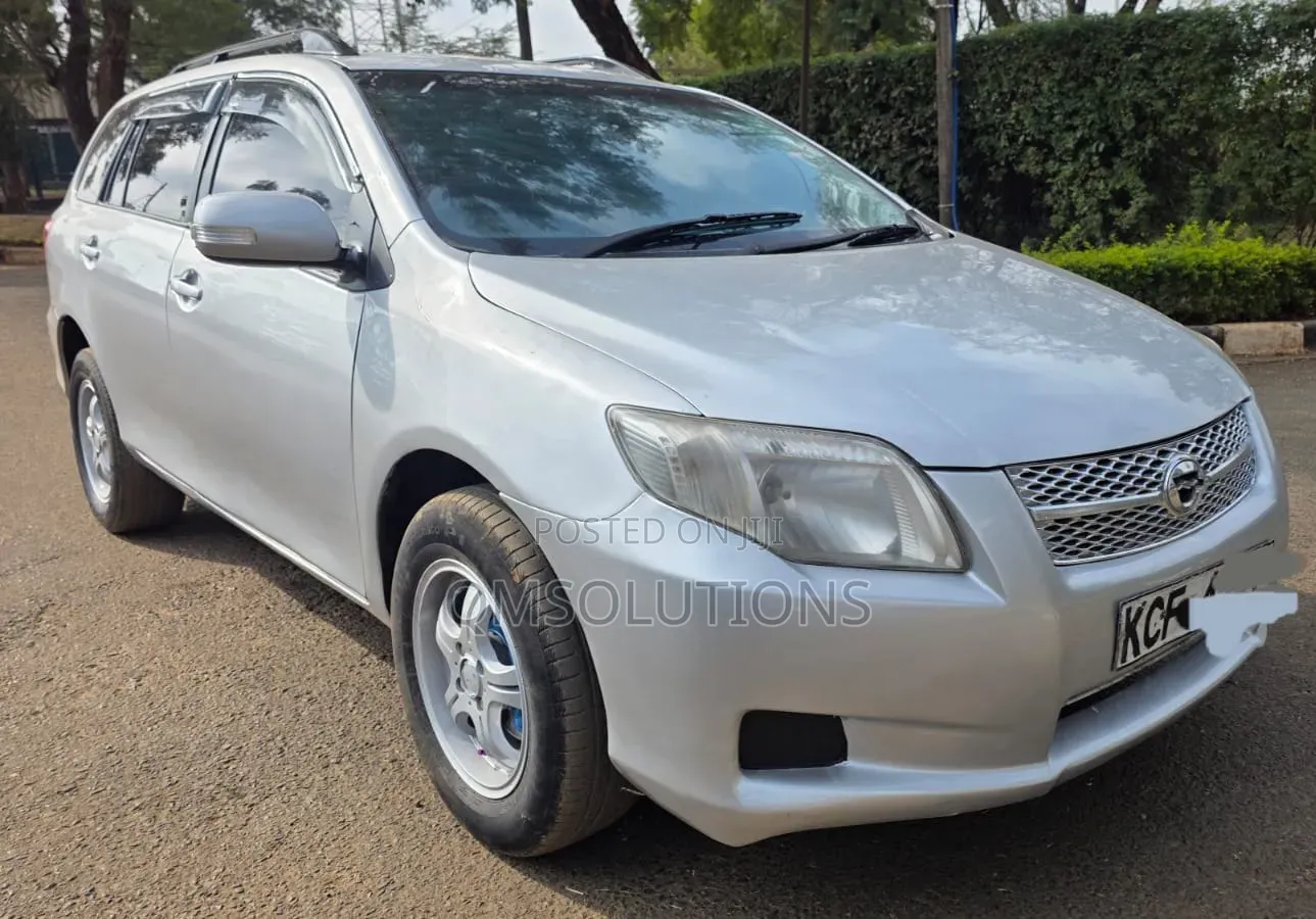 Toyota Corolla Fielder 2009 Silver