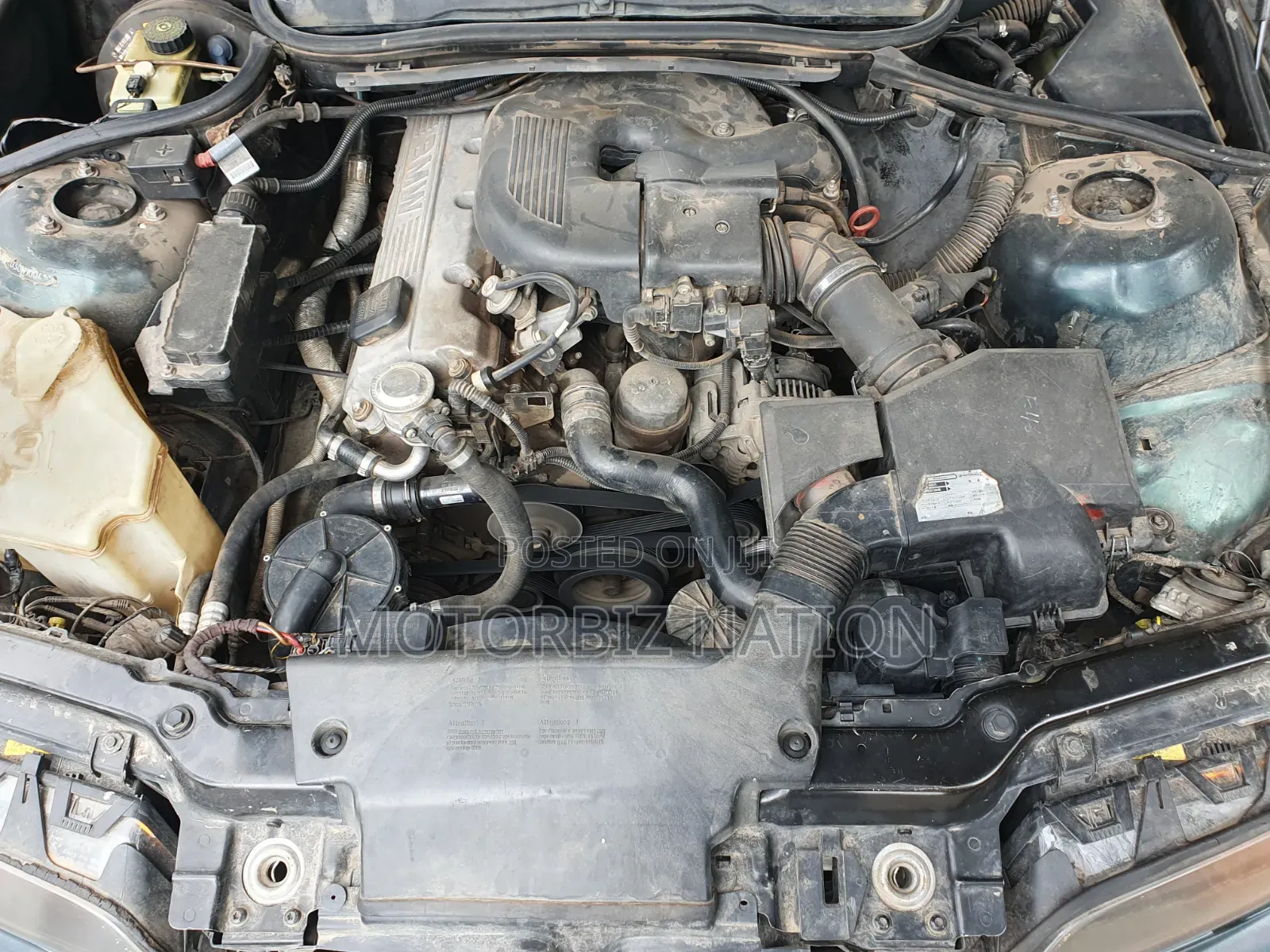 BMW 318i 2004 Green