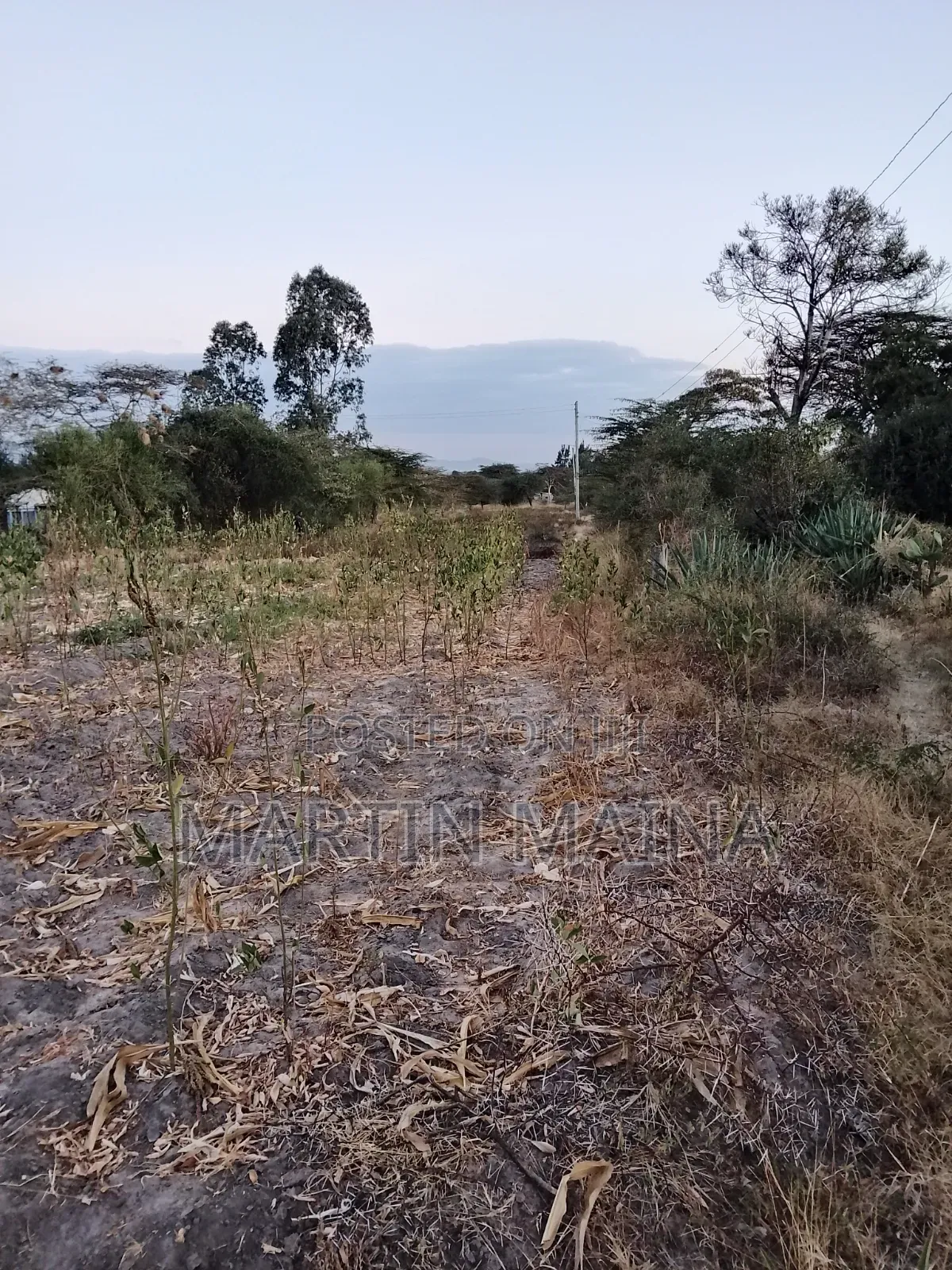 Machakos Town 50 by 100 Plot for Sale at Miwongoni Area