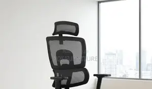 Office Chairs; Orthopedic Office Chairs With Fabric Backrest
