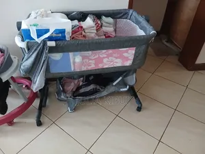 Baby Co Sleeper and Walker